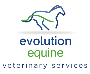 Equine services sales near me